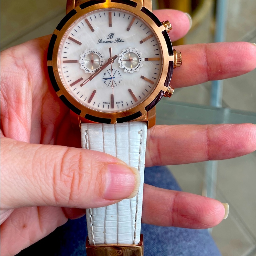 PORSAMO BLEU 052ANYL MENS LUXURY WATCH